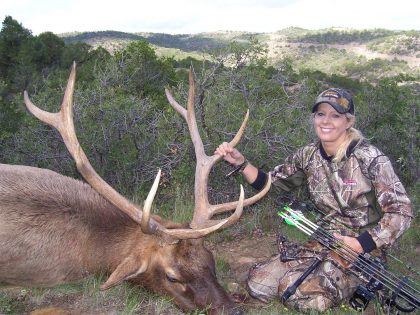 Lisa Endicott Colorado Bull Elk
